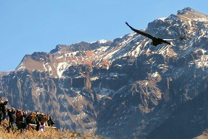 All inclusive Full day tour Colca Canyon: alle måltider og indgange