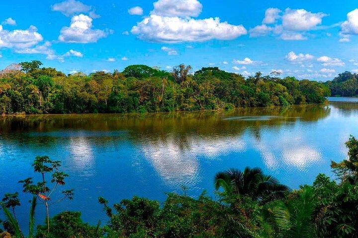 アマゾン探検タンボパタ保護区とサンドバル湖5日間