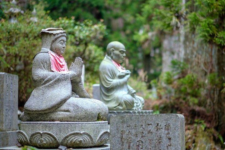 那智の滝・高野山＆和歌山観光2つのオプション