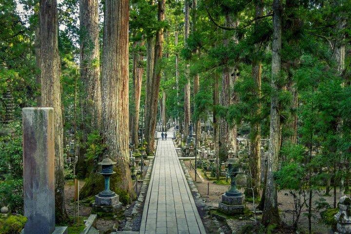 那智の滝・高野山＆和歌山観光2つのオプション