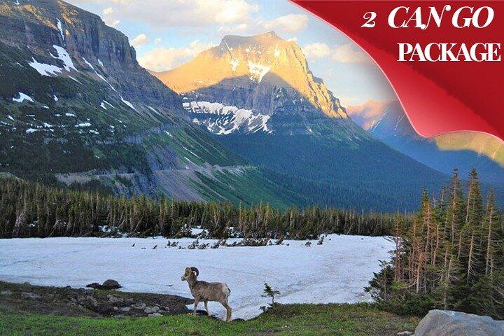 Tour di 8 giorni dei parchi nazionali Grand Teton, Yellowstone e Glacier
