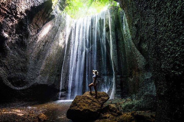 Ubud Private Tour - Wasserfälle, Wassertempel und Reisterrassen