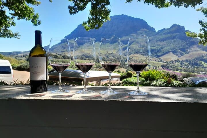 Giraffe house and Cheetahs encounter Tour with Wine tasting