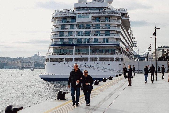 Private Post/Pre Cruise Istanbul: Van, Guide & Airport/ Port Drop