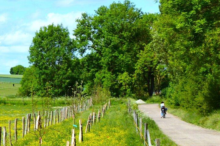 Mountainbike i dalen ved Château de Versailles
