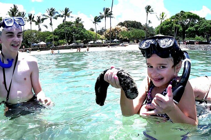 Snorkeling in Waikiki Muitos Peixes Todos os Níveis Vídeo e Fotos Grátis!