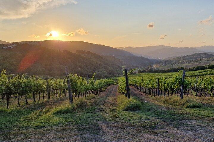 Privé wijntour in Toscane Florence Limo Service Engelse chauffeur