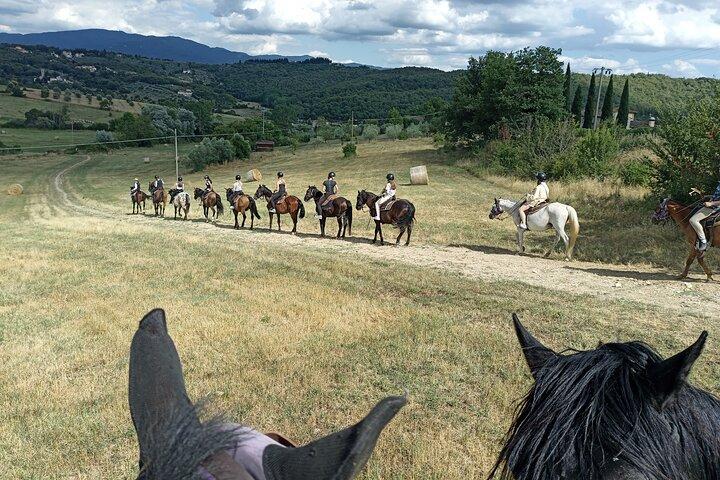 Paseos a caballo por los viñedos