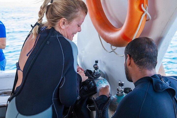 Ras Mohamed & White Island Luxus-Yacht-Trip von Sharm el Sheikh