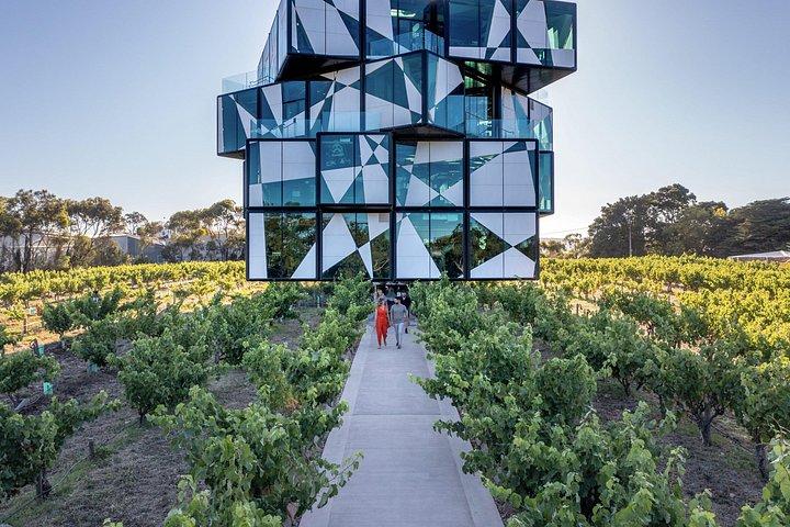 Private McLaren Vale Wine and Brew Tour with Lunch and Tastings