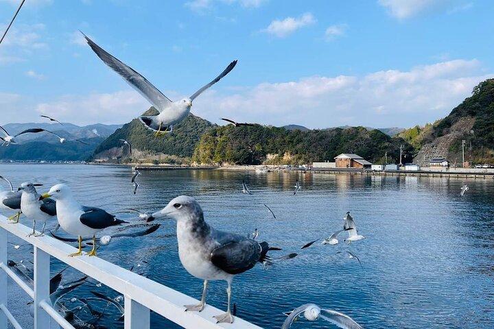 日本のベネチア、天橋立と伊根湾を巡るプライベートツアー