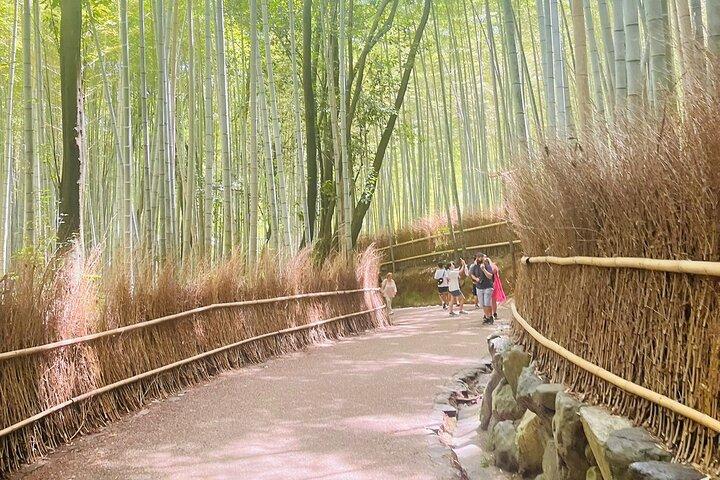 Kyoto & Nara : Excursion privée d'une journée en véhicule de luxe et Guide Anglais