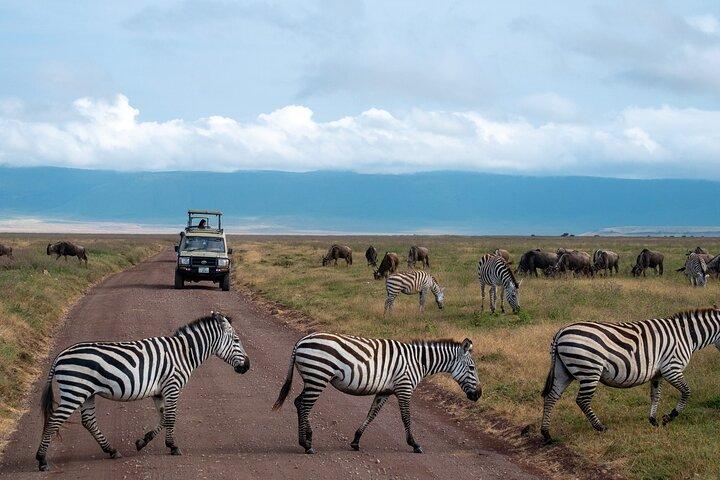 5 dagars lyxsafari genom Tarangire Serengeti och Ngorongoro