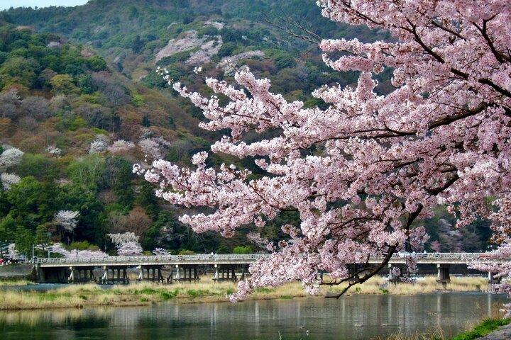 Kyoto Arashiyama, Nara Park og Fushimi Shrine tur