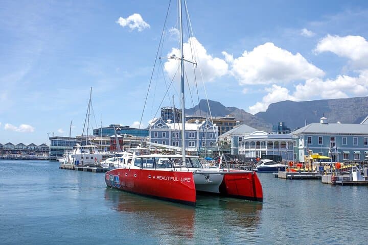 Cape Town Sunset Boat Cruises with Champagne (Hotel pickup incl.)