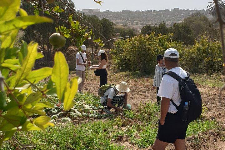 Essaouira Waterfall Hike & Coastal Walk com Tagine, Pesca
