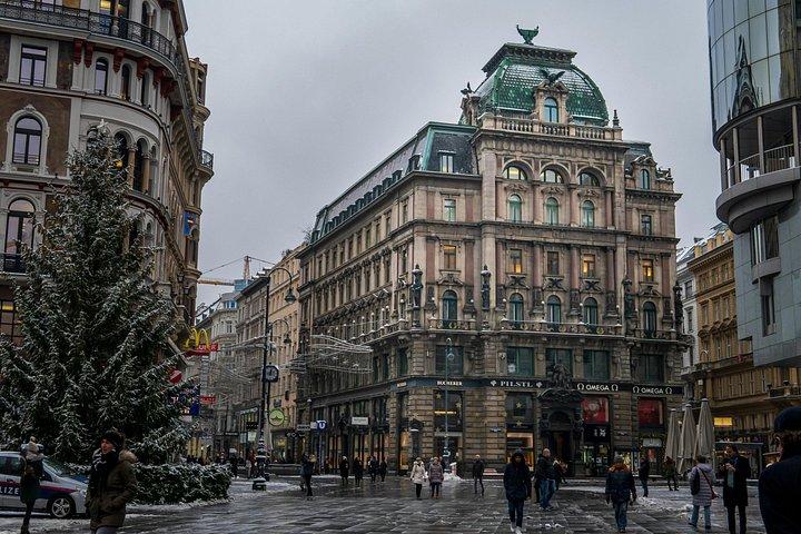 ウィーンのクリスマスウォーク：3時間で5つのマーケットと旧市街を巡る（英語/ドイツ語）