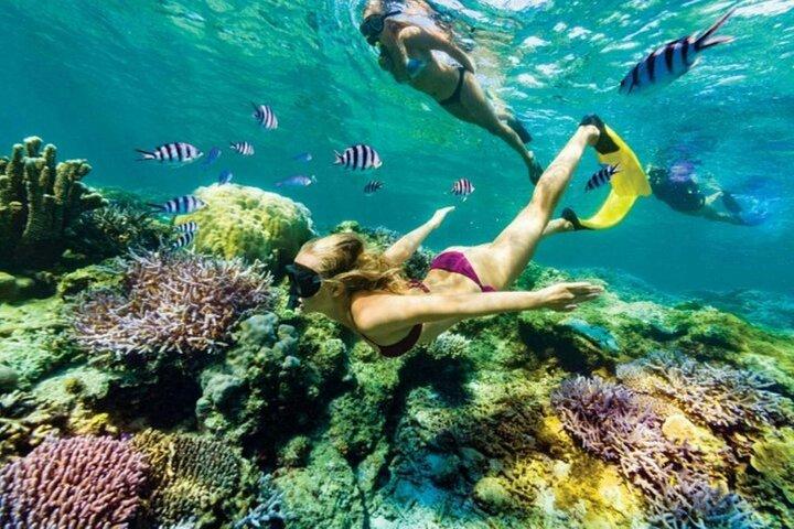 Bali Snorkeling Blue Lagoon con almuerzo y cascada opcional Visita