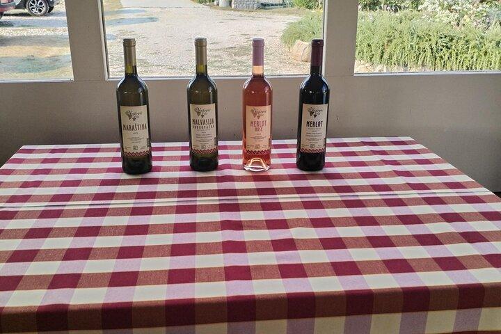 Konavle Tradition & Vines: Viagem da Vinícola Vodopic