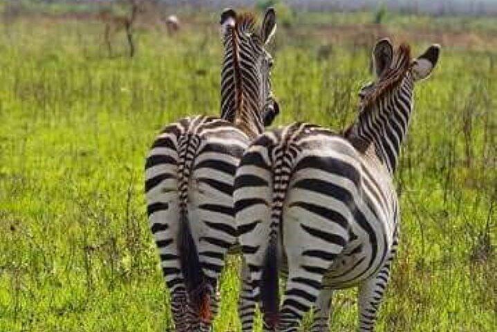 ミクミ国立公園の中心で2泊3日