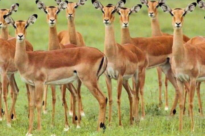 ミクミ国立公園の中心で2泊3日