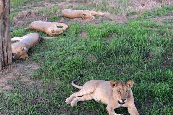 ミクミ国立公園の中心で2泊3日
