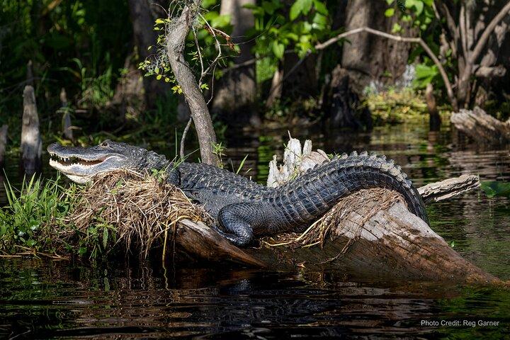 Crociere con pranzo e cena a Sanford, Florida