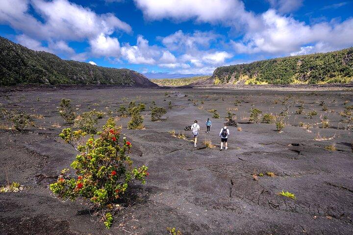 Esperto guidato privato Tour Parco nazionale dei vulcani delle Hawaii