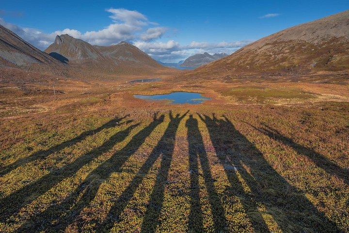 Fjord Expedition: Arctic Adventure Awaits
