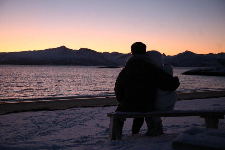 Fjord Expedition: Arctic Adventure Awaits