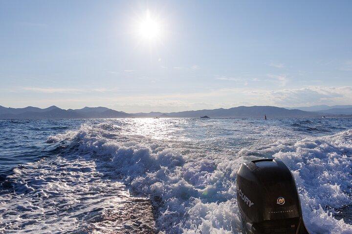 海からのカンヌ島とレラン島へのプライベートエスケープ
