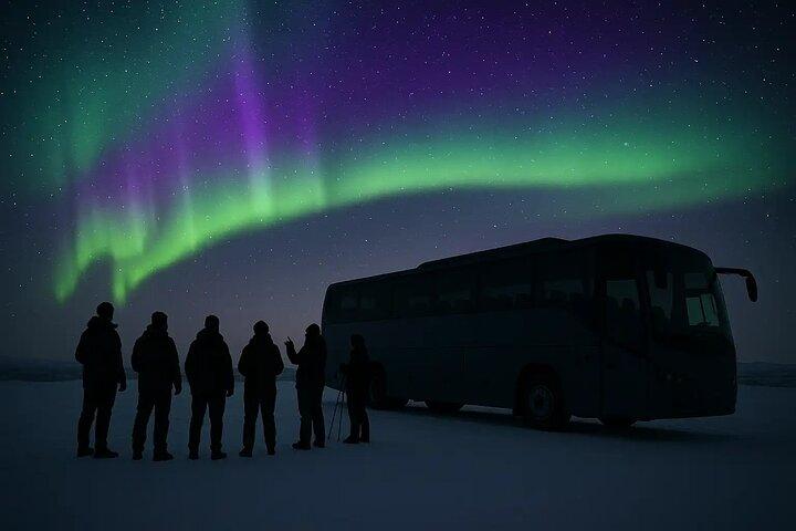 Chasse aux aurores boréales en petit groupe à Alta