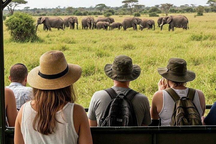 Escursione di un giorno al Sunrise Safari del Parco Nazionale di Amboseli da Nairobi