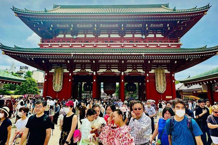 Tokyo Private Sightseeing Tour with English Speaking Driver