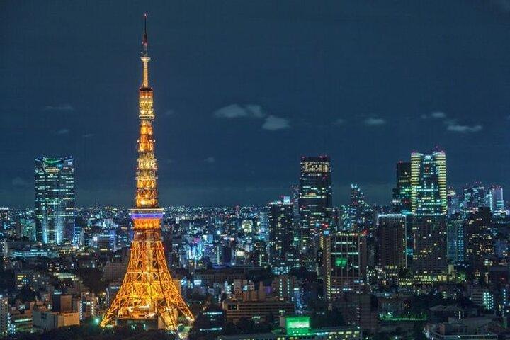 Tokyo Private Sightseeing Tour with English Speaking Driver