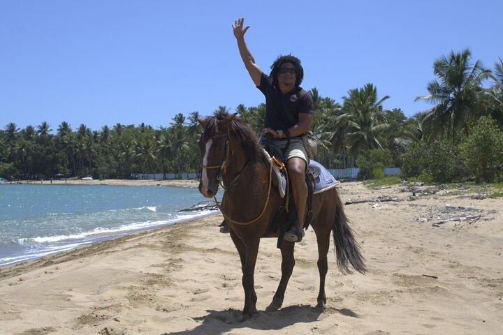Puerto Plata: Beach Horseback Riding & Optional Port Pickup