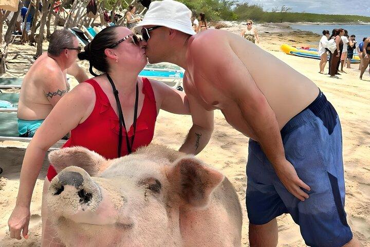 Nassau 3 Island privat båttur grisar, sköldpaddor och snorkling
