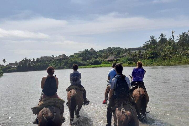 プラヤロスナランホスタイロナ公園での乗馬。
