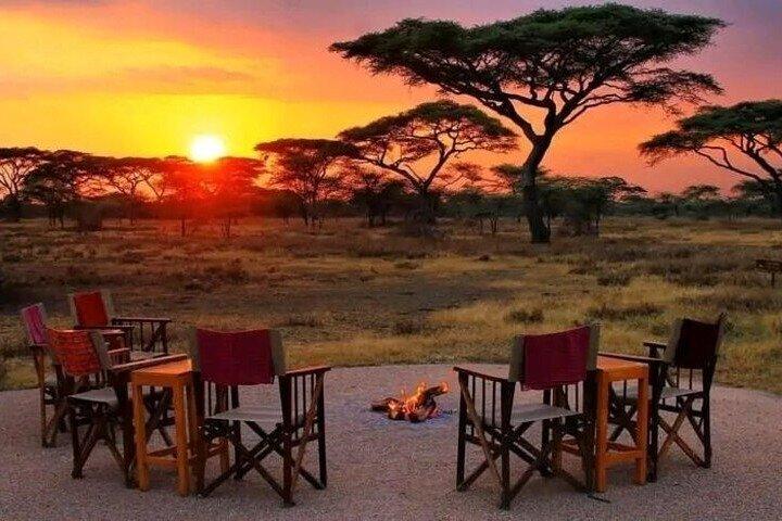 8 dagars Kenya Safari Tour Maasai Mara Lake Nakuru och Amboseli
