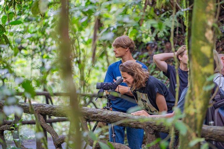 Arenal: Puentes Colgantes + Hot Springs + Catarata desde San Jose