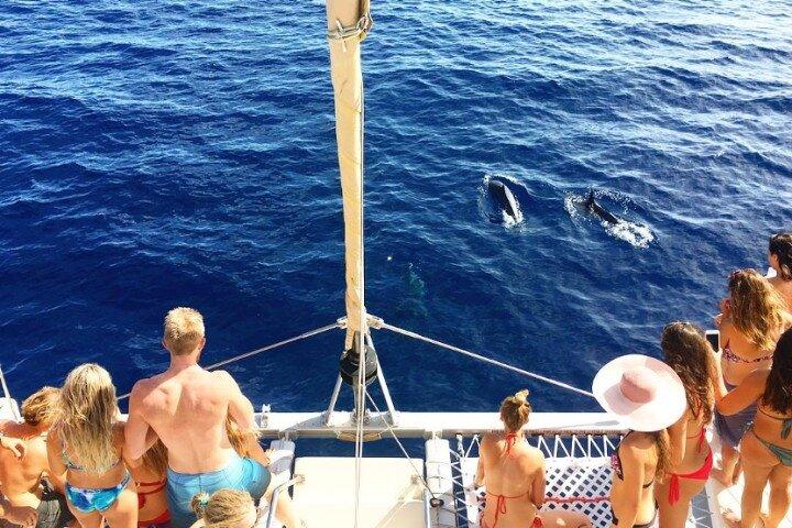 Waikiki Beach Whale Watching : Katamaran Sail & Open Bar