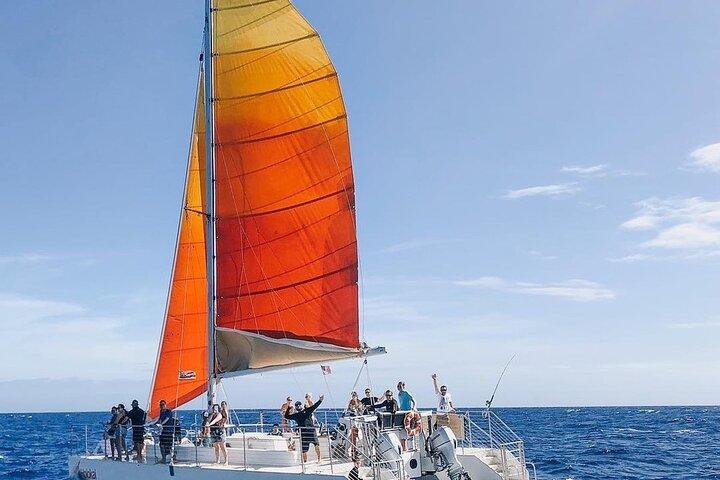 Waikiki Beach Whale Watching : Katamaran Sail & Open Bar