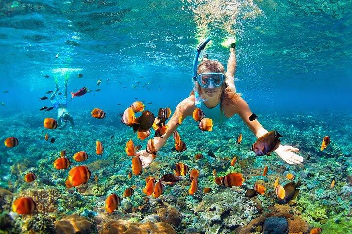 Phuket to Coral Island: Full-Day Beach & Snorkeling Tour