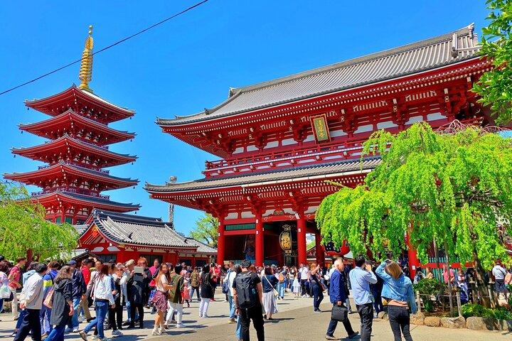 東京寺社巡り：明治神宮・浅草・増上寺