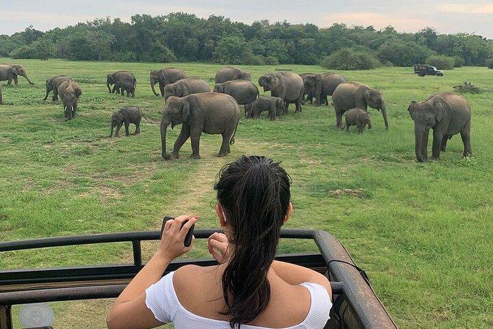 Excursion privée de plusieurs jours au Sri Lanka avec Chauffeur