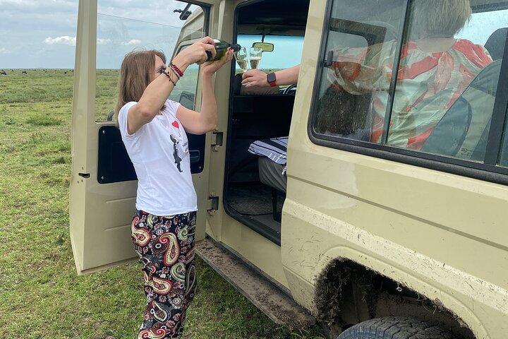 4 dagars Northern Circuit Safari Tarangire, Serengeti och Ngorongoro
