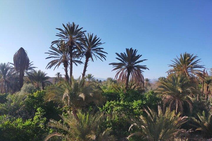Private Tour von Ouarzazate Skoura Roses Valley Dades Gorges
