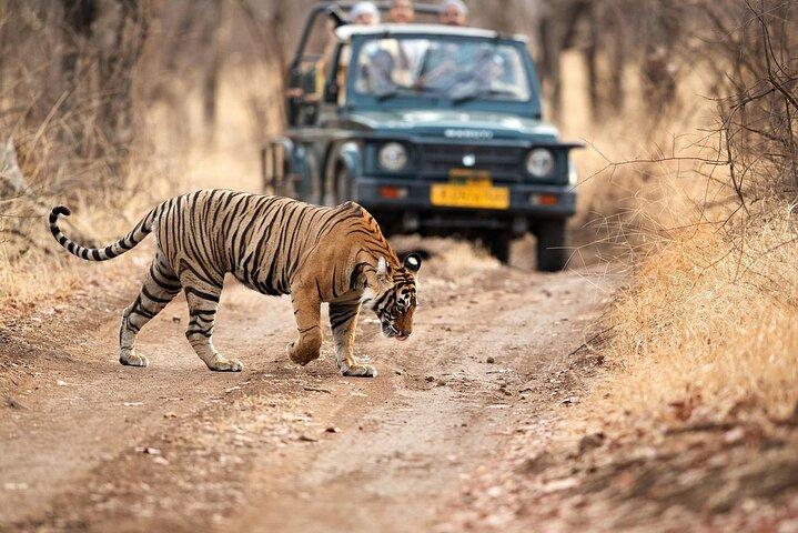 Tour du triangle d'or - Delhi, Agra, Jaipur et Ranthambore