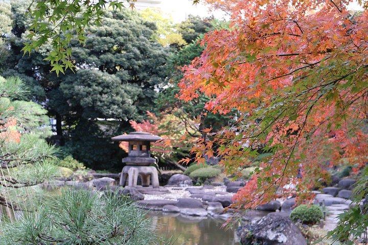 Privat rundvandring i Tokyo med en lokal spansktalande guide