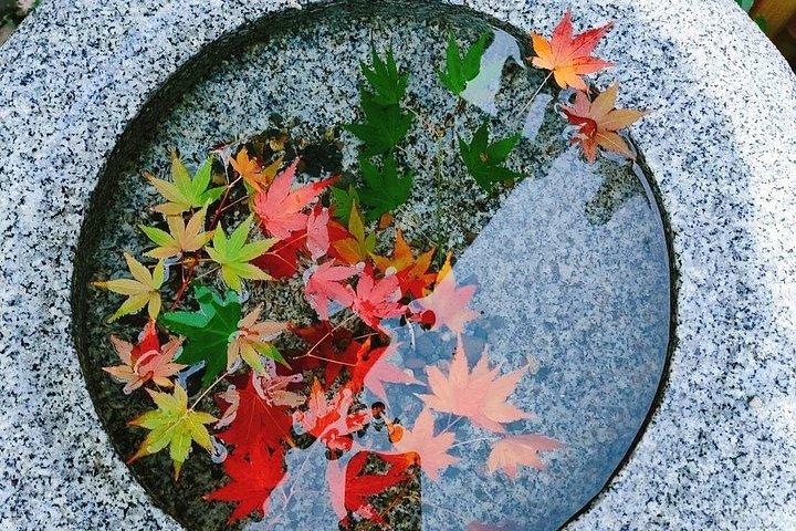 Privat rundvandring i Tokyo med en lokal spansktalande guide